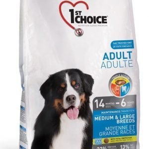 1st Choice Dog Adult Medium & Large Breeds 15 Kg