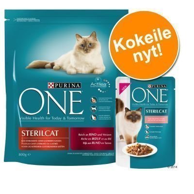 800 g Purina ONE + 6 x 85 g Purina ONE -märkäruokaa - 1