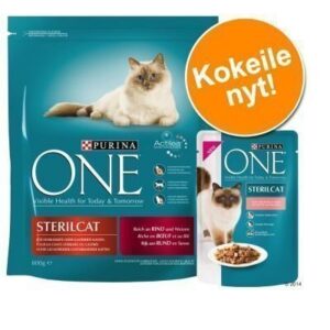 800 g Purina ONE + 6 x 85 g Purina ONE -märkäruokaa - 800 g Neutered Cat