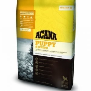 Acana Puppy Junior 11