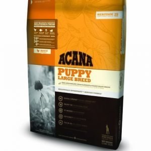 Acana Puppy Large 11