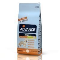 Advance Maxi Adult - 14 kg