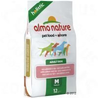 Almo Nature Adult Medium Salmon & Rice - säästöpakkaus: 2 x 12 kg
