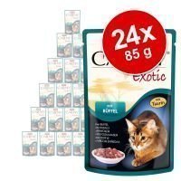Animonda Carny Exotic -säästöpakkaus 24 x 85 g - 3 eri makua