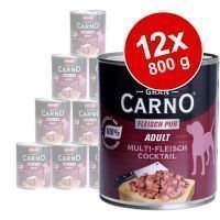 Animonda GranCarno Adult -säästöpakkaus 12 x 800 g - kalkkuna & ankka