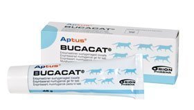 Aptus Bucacat Hammastahna 45 G