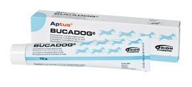 Aptus Bucadog Hammastahna 70 G