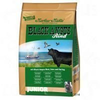 Black Angus Junior - säästöpakkaus: 2 x 15 kg