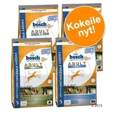 Bosch Adult -kokeilupakkaus 4 x 1 kg - 4 x 1 kg Bosch Adult