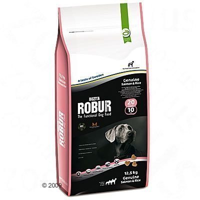 Bozita Robur Genuine Salmon & Rice 20/10 - säästöpakkaus: 2 x 12