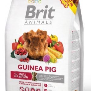 Brit Animals Guinea Pig Complete 1