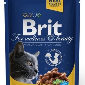 Brit Premium Cat Chicken & Turkey 24x100g