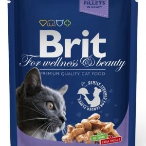 Brit Premium Cat Cod Fish 24x100 G