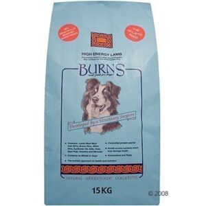 Burns Puppy Original Lamb & Rice - säästöpakkaus: 2 x 12 kg