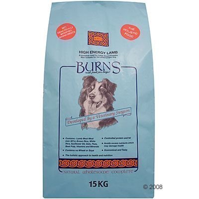 Burns Puppy Original Lamb & Rice - säästöpakkaus: 2 x 12 kg