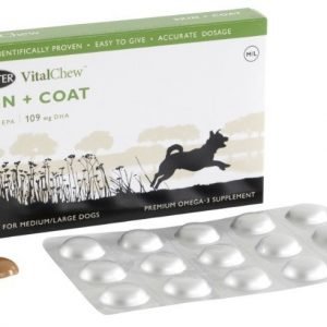 Buster Vitalchew Skin & Coat Medium / Large 30 St