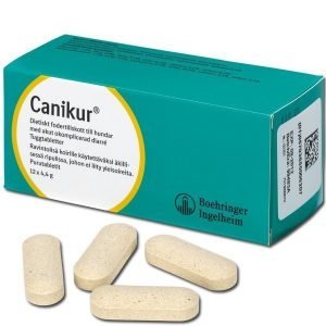 Canikur Tabletit 12x4