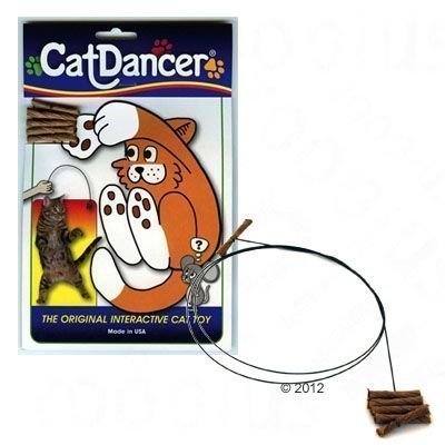 Cat Dancer - 1 kpl