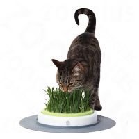 Catit Design Senses Gras Garden - kissanruohon uudelleentäyttöpussi (2 kpl à 70 g)