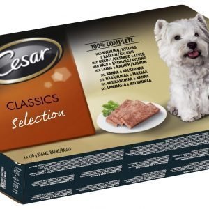 Cesar Classics Selection 4 X 150 G Pakkaus