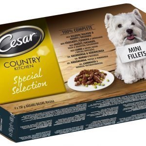 Cesar Country 4 X 150 G Special Selection -pakkaus