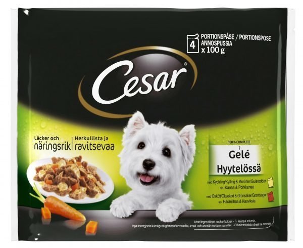 Cesar Hyytelössä 4 X 100 G Annospussit