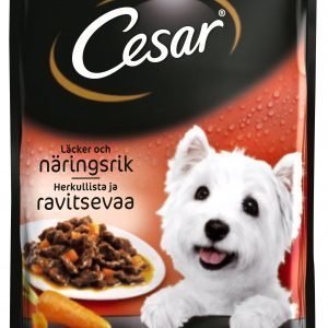 Cesar Härkää & Porkkanaa Kastikkeessa 100 G Annospakkaus