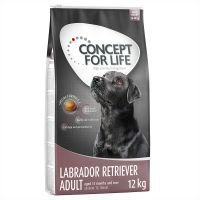 Concept for Life Labrador Retriever Adult - säästöpakkaus: 2 x 12 kg