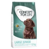 Concept for Life Large Junior - säästöpakkaus: 2 x 12 kg