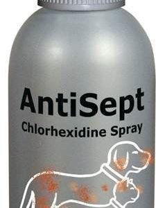 Dechra Antisept Chlorhexidine Spray 100 Ml