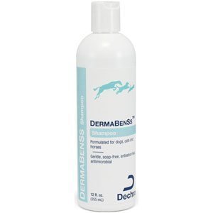 Dechra Dermabenss Shampoo 236 Ml