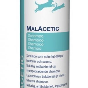 Dechra Malacetic Shampoo 230 Ml