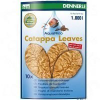 Dennerle Catappa Leaves - 8 kpl