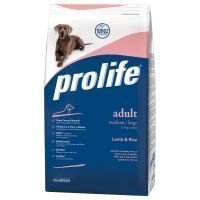 Dog Prolife Adult Medium Lamb & Rice - säästöpakkaus: 2 x 12 kg