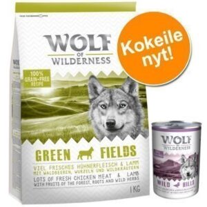 Erikoishintaan: 1 kg kuivaruokaa + 6 x 400 g märkäruokaa! - 1 kg Green Fields - lammas + 6 x 400 g lammas-märkäruoka