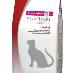 Eukanuba Cat Veterinary Diets Intestinal 1