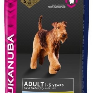 Eukanuba Dog Adult Large 12 Kg