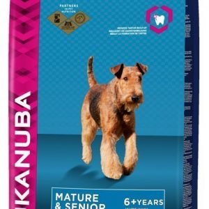 Eukanuba Dog Adult Mature & Senior Large 12 Kg