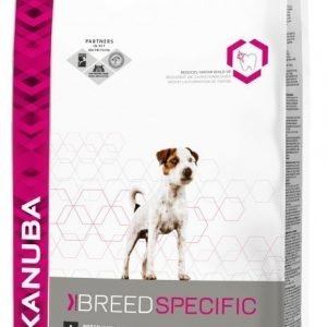 Eukanuba Dog Jack Russell 2 Kg