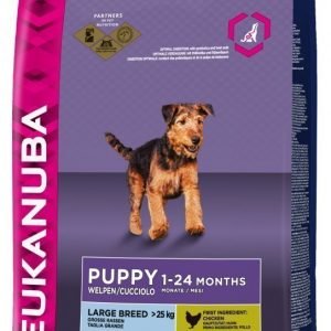 Eukanuba Dog Puppy Large 12kg