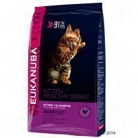 Eukanuba Healthy Start Kitten - säästöpakkaus: 2 x 4 kg