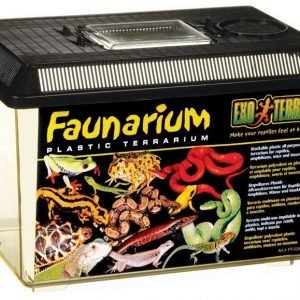 Exoterra Faunarium Nr 3 Medium