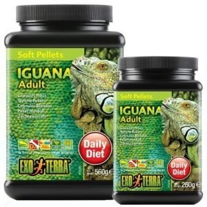 Exoterra Iguana Adult Soft Pellets 540 G