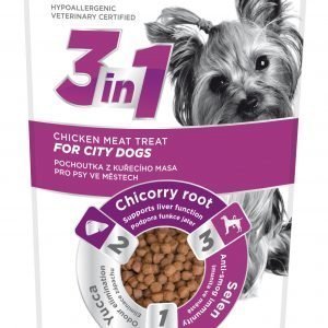 Fitmin 3in1 Dog City Chicken 100 G Makupala