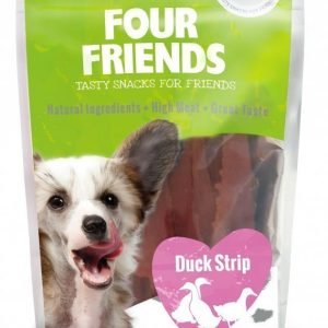 Four Friends Dog Duck Stripe 400g