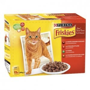 Friskies Kissanruoka 12x100g Kastikelajitelma