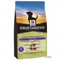 Hill's Canine Ideal Balance Mature Chicken & Rice - säästöpakkaus: 2 x 12 kg