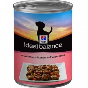 Hill's Ideal Balance Canine Adult Salmon 12x363g