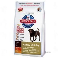 Hill's SP Healthy Mobility Large Breed - säästöpakkaus: 2 x 12 kg