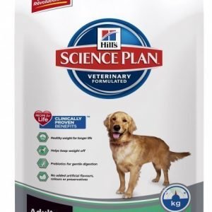 Hill's Science Plan Canine Perfect Weight Large Chicken 12 Kg